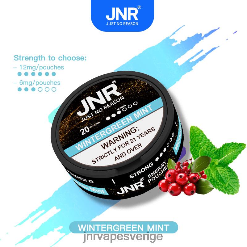 JNR Vape Nicotine - jnr energipåsar V04J6106 vintergrön mynta