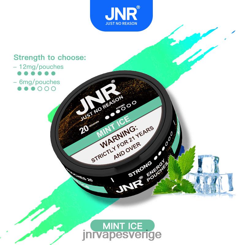 JNR Vape Price - jnr energipåsar V04J6103 mynta is