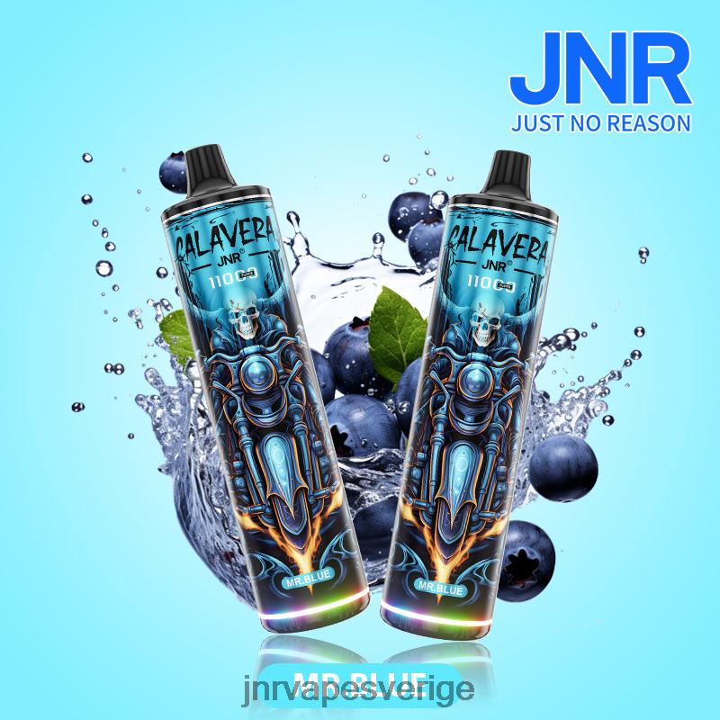 JNR Vape Price - jnr calavera V04J6303 mr.blå