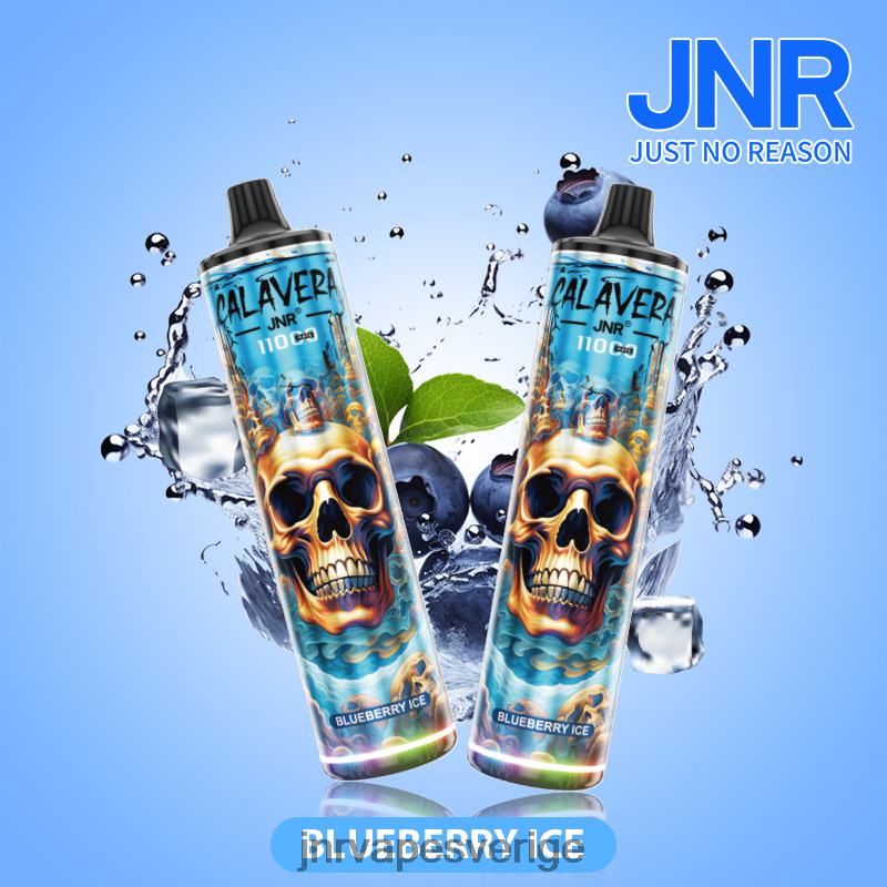 JNR Vape Stockholm - jnr calavera V04J6292 blåbärsis