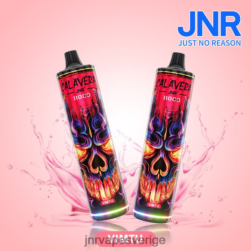 JNR Vape Sverige - jnr calavera V04J6304 vimtu