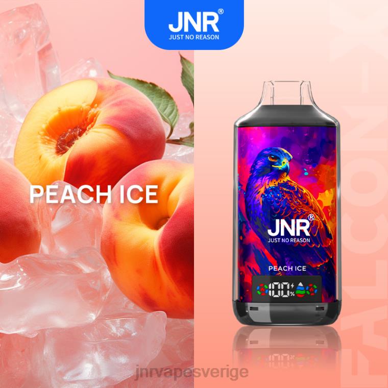 JNR Vape Price - JNR FALCON x X0HZ613 persika is