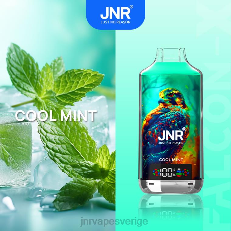 JNR Vape Price - JNR FALCON x X0HZ63 fräsch mint