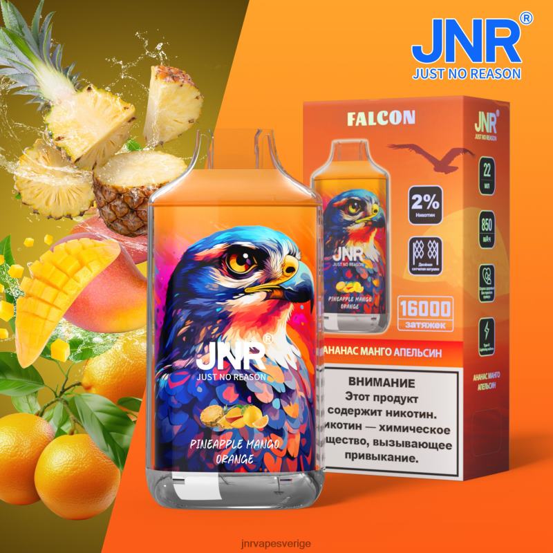 JNR Vape Price - jnr falk V04J6203 ananas mango apelsin