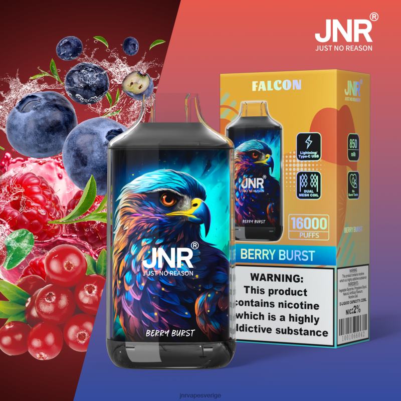 JNR Vape Price - jnr falk V04J6213 bärburk utan frukt