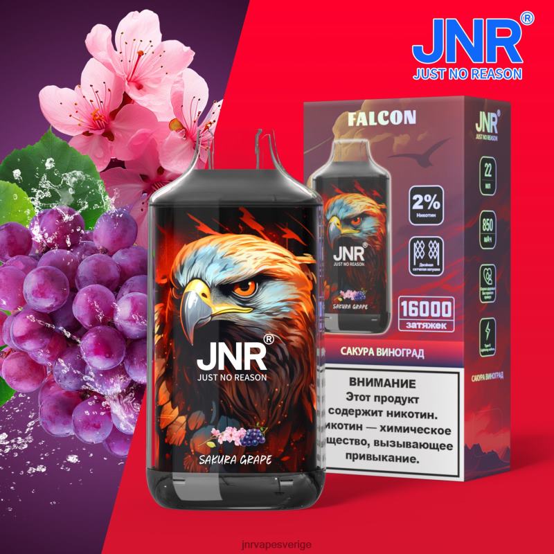 JNR Vape Review - jnr falk V04J6205 sakura druva