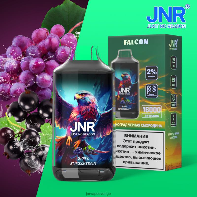 JNR Vapes Website - jnr falk V04J6211 druva svarta vinbär