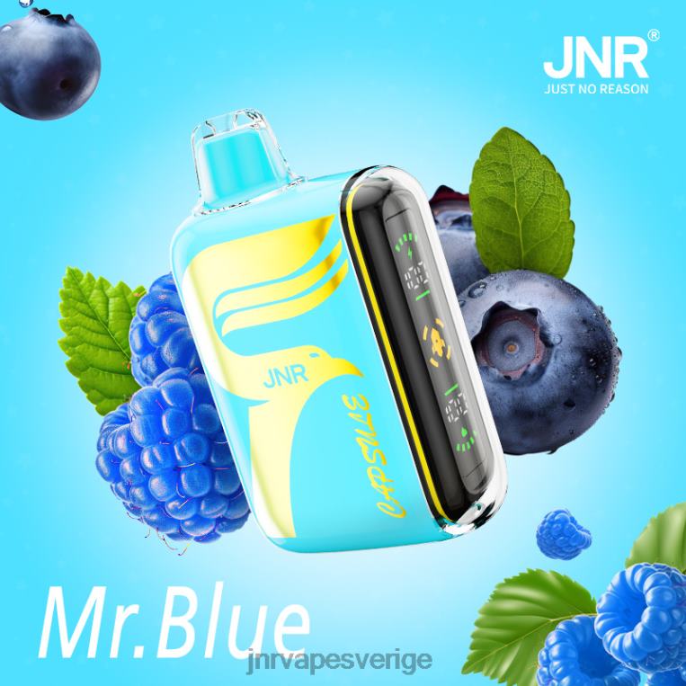 JNR Vape Review - JNR kapsel P0JZ664 mr.blå