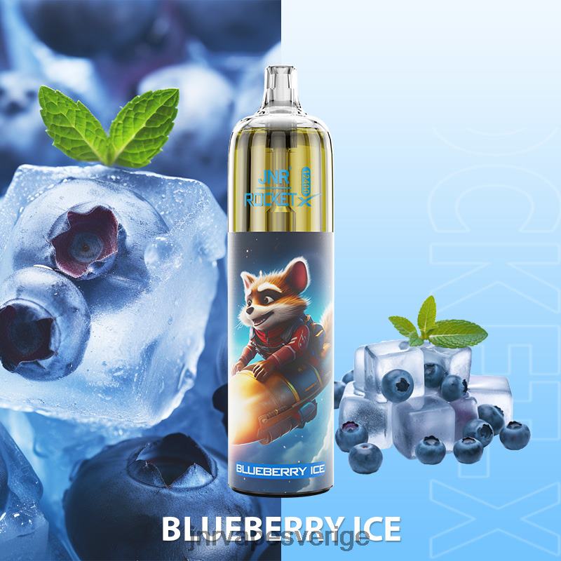 JNR Vapes Factory - jnr raket-x V04J6107 blåbärsis