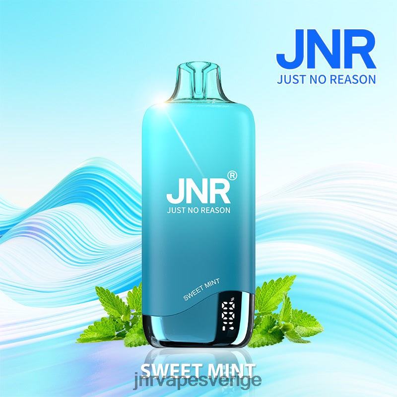 JNR Vape Flavours - jnr regnbåge V04J6269 söt mynta