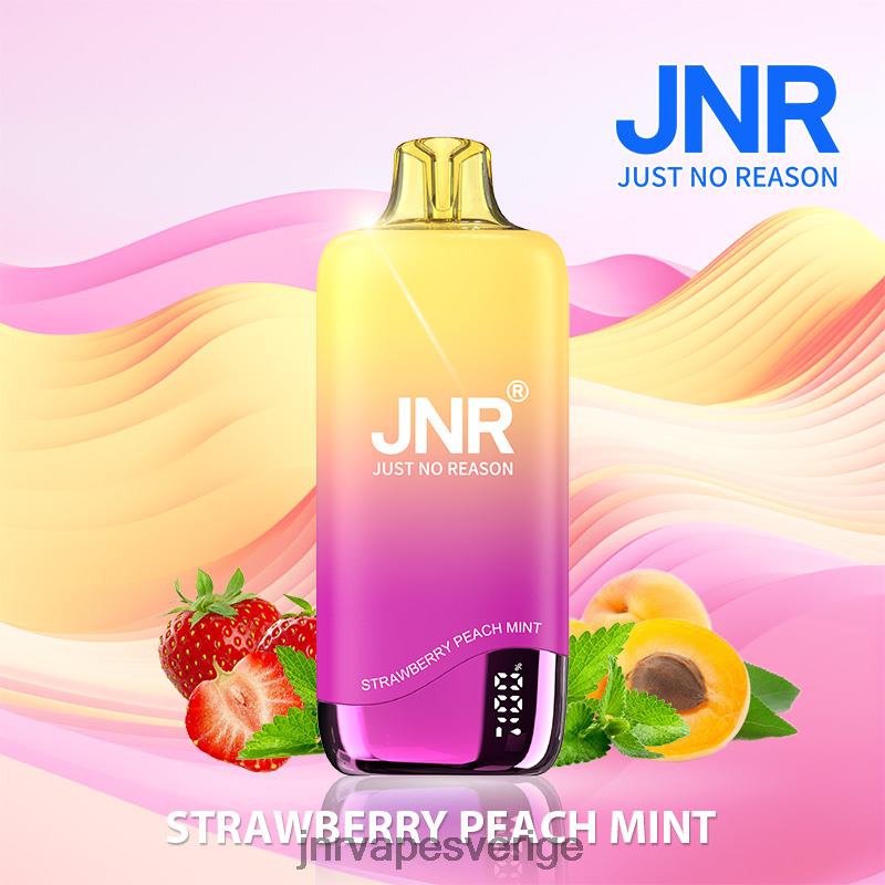 JNR Vapes Factory - jnr regnbåge V04J6267 jordgubbspersika mynta