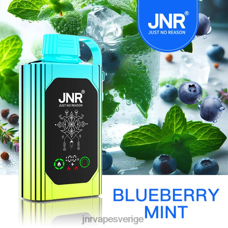 JNR Vape Flavours - JNR SHISHA låda P0JZ688 blåbärsmynta