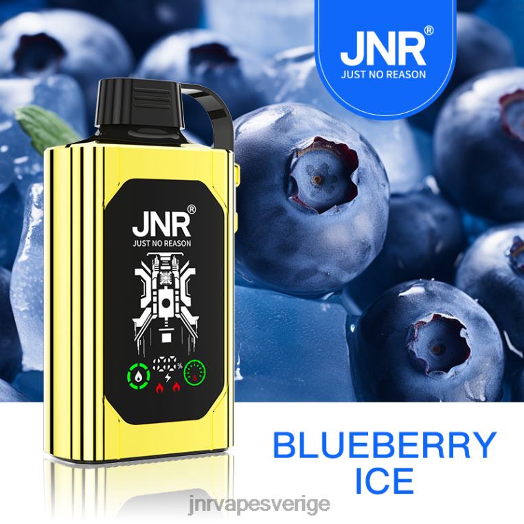 JNR Vape Nicotine - JNR SHISHA låda P0JZ675 blåbärsis
