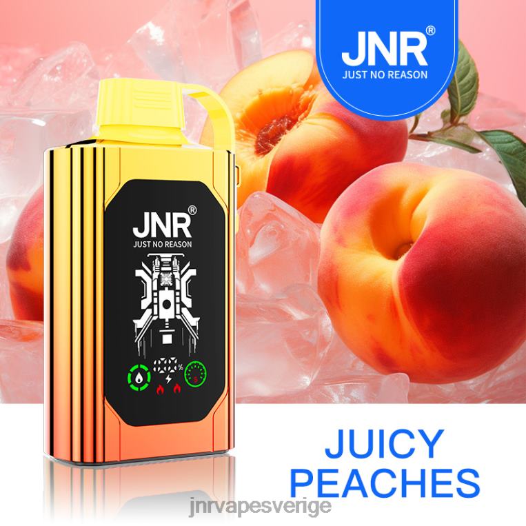 JNR Vape Review - JNR SHISHA låda P0JZ684 saftiga persikor