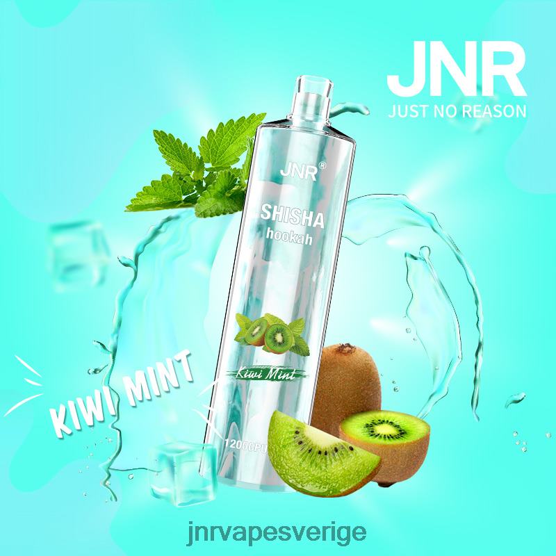 JNR Vape Flavours - jnr shisha V04J6169 kiwi mynta