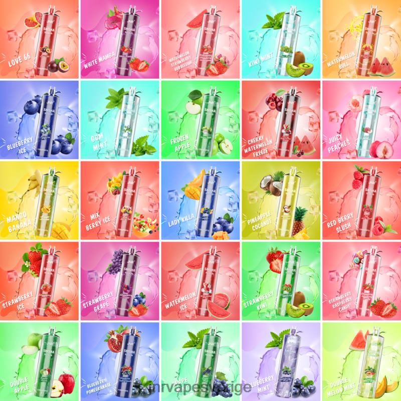 JNR Vape Nicotine - jnr shisha V04J6186 blåbär granatäpple