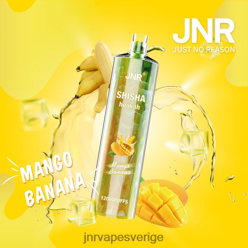 JNR Vape Review - jnr shisha V04J6165 mango banan