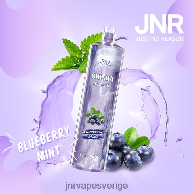 JNR Vape Stockholm - jnr shisha V04J6172 blåbärsmynta