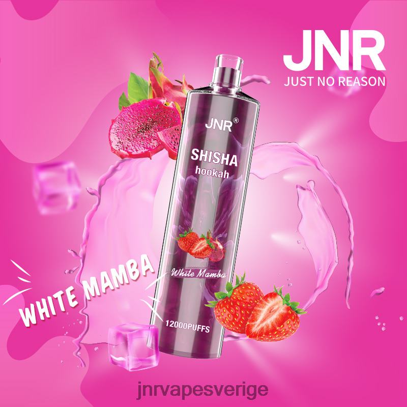 JNR Vape Stockholm - jnr shisha V04J6182 vit mamba