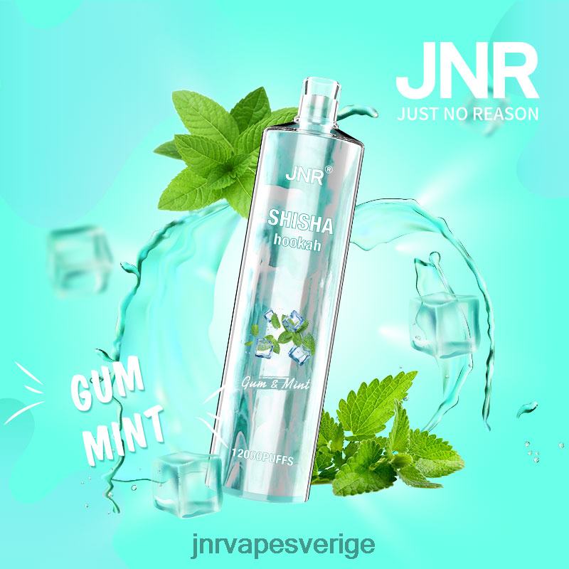 JNR Vape Sverige - jnr shisha V04J6164 tuggummi och mynta