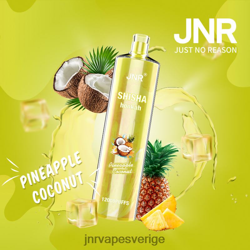 JNR Vapes Factory - jnr shisha V04J6167 ananas kokos