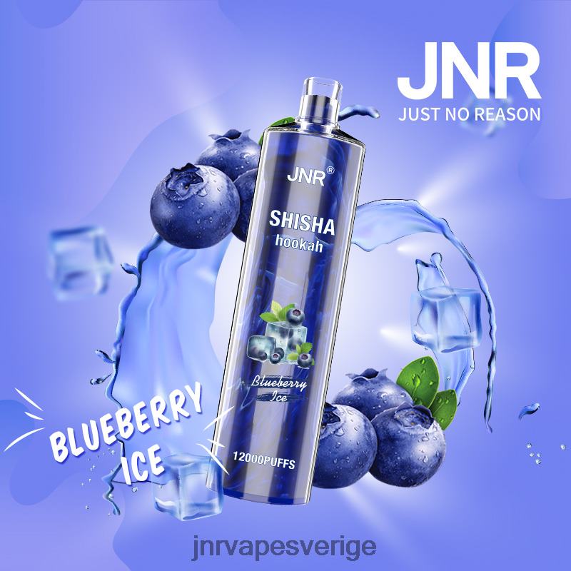 JNR Vapes Website - jnr shisha V04J6161 blåbärsis