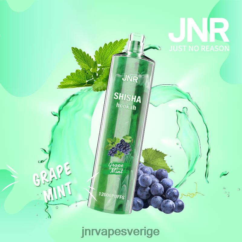 JNR Vapes Website - jnr shisha V04J6171 druvmynta