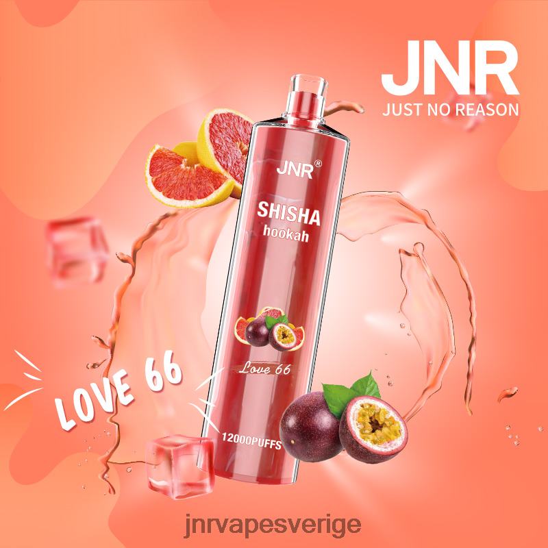 JNR Vapes Website - jnr shisha V04J6181 älskar 66