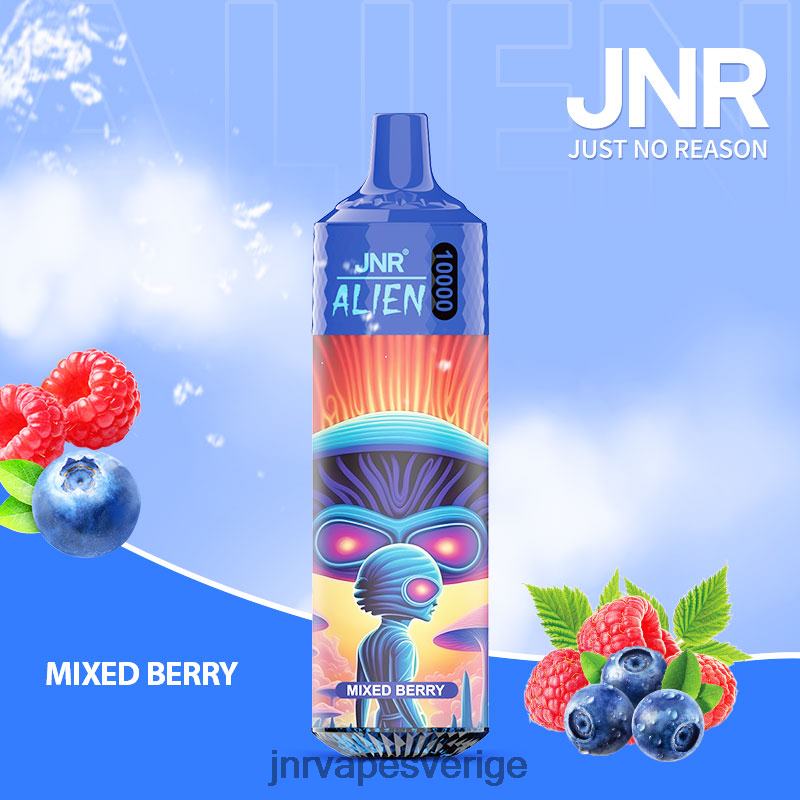 JNR Vape Stockholm - jnr utomjording V04J6132 blandat bär