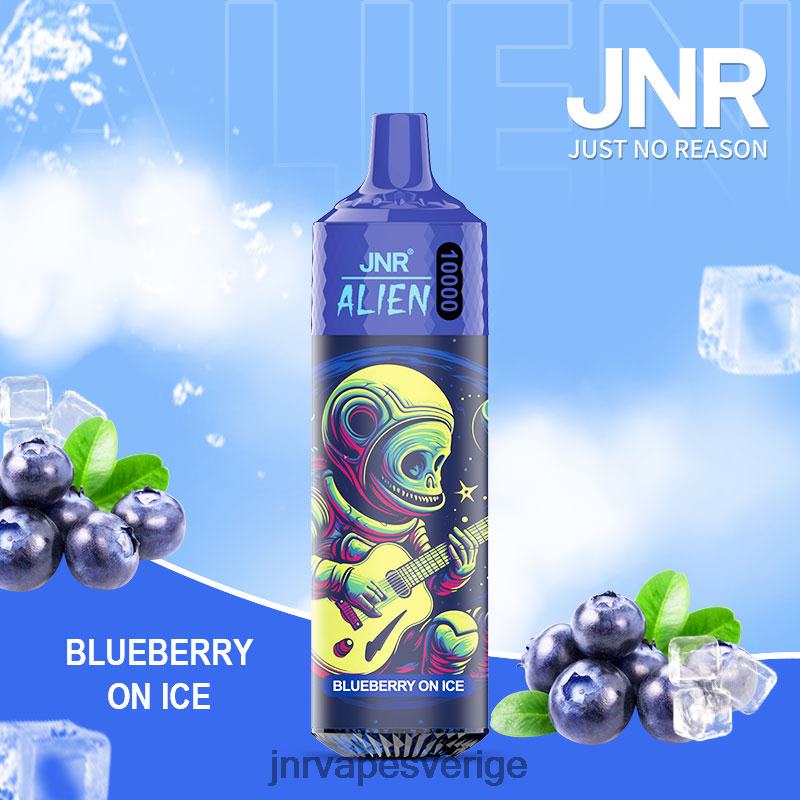 JNR Vape Stockholm - jnr utomjording V04J6142 blåbär på is
