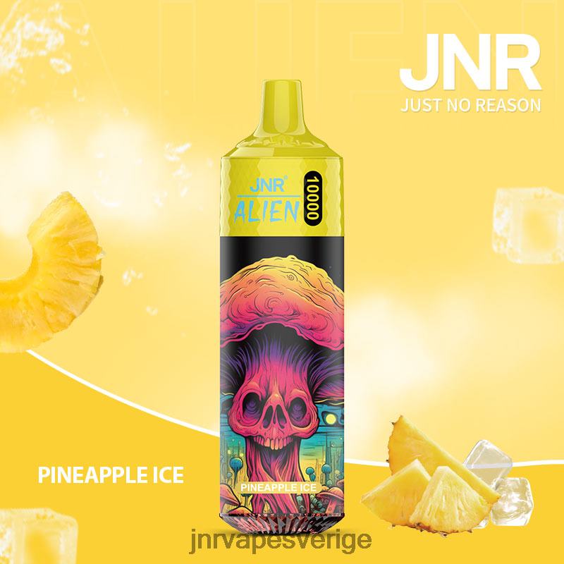 JNR Vapes Factory - jnr utomjording V04J6147 ananas is