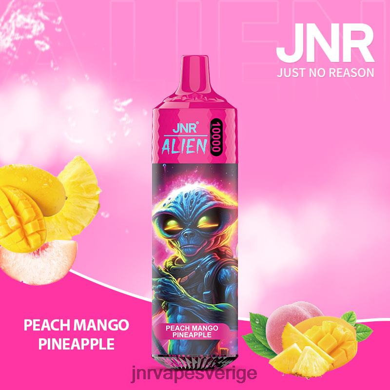 JNR Vapes Website - jnr utomjording V04J6151 persika mango ananas