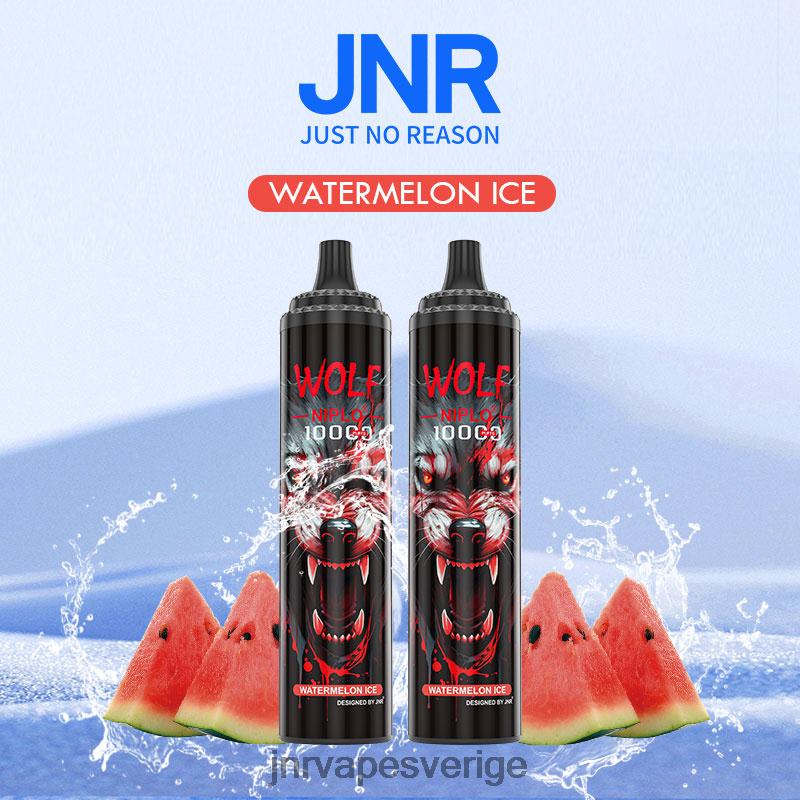 JNR Vape Price - jnr varg niplo V04J6353 vattenmelon is