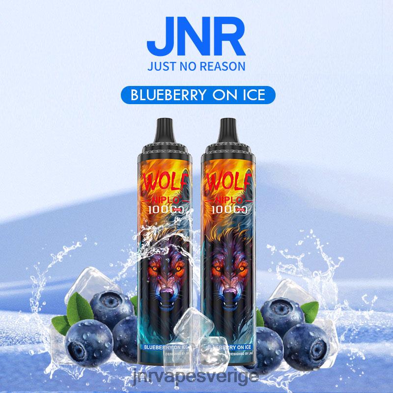 JNR Vape Shop - jnr varg niplo V04J6358 blåbär på is